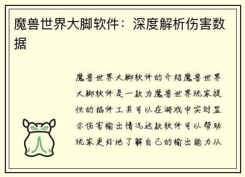 魔兽世界大脚软件：深度解析伤害数据